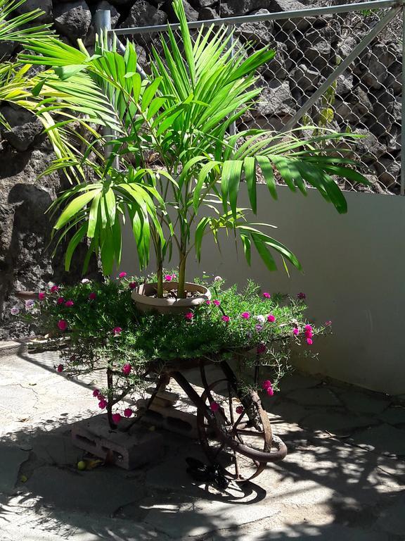 Casita Escondida- El Salvador Villa La Libertad Luaran gambar